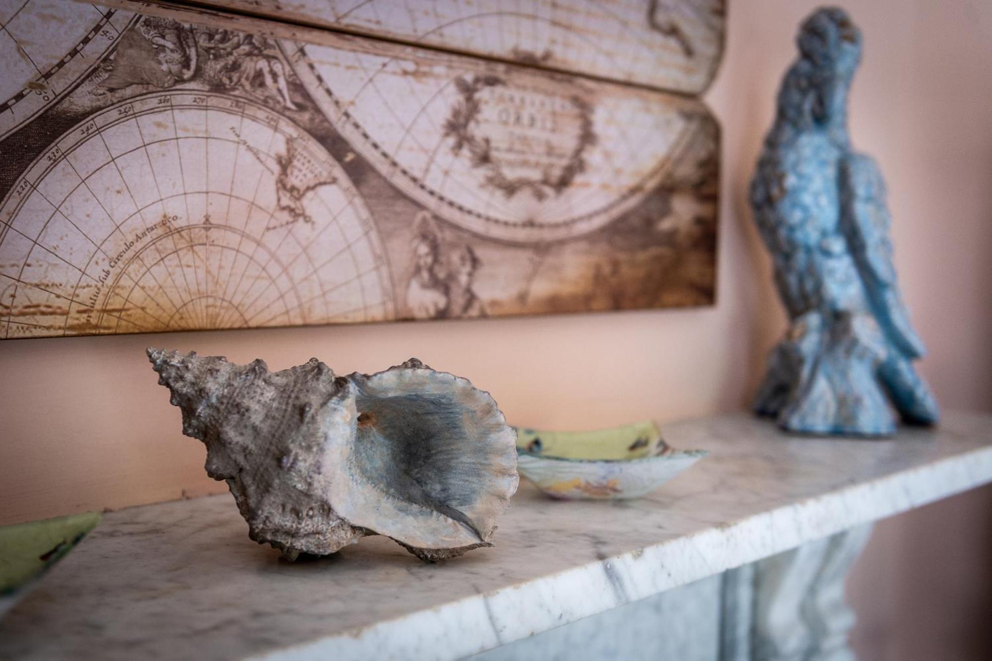 לינה וארוחת בוקר שרוסברי Darwin'S Townhouse חדר תמונה A conch shell